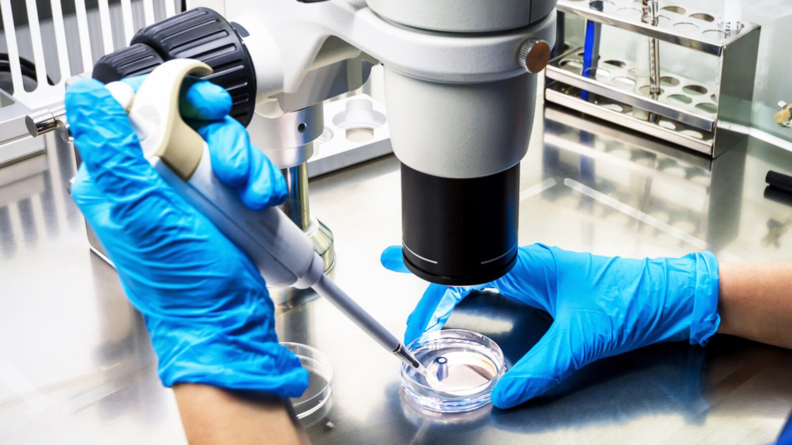 190214-Enking-racial-gap-tease_suwetr