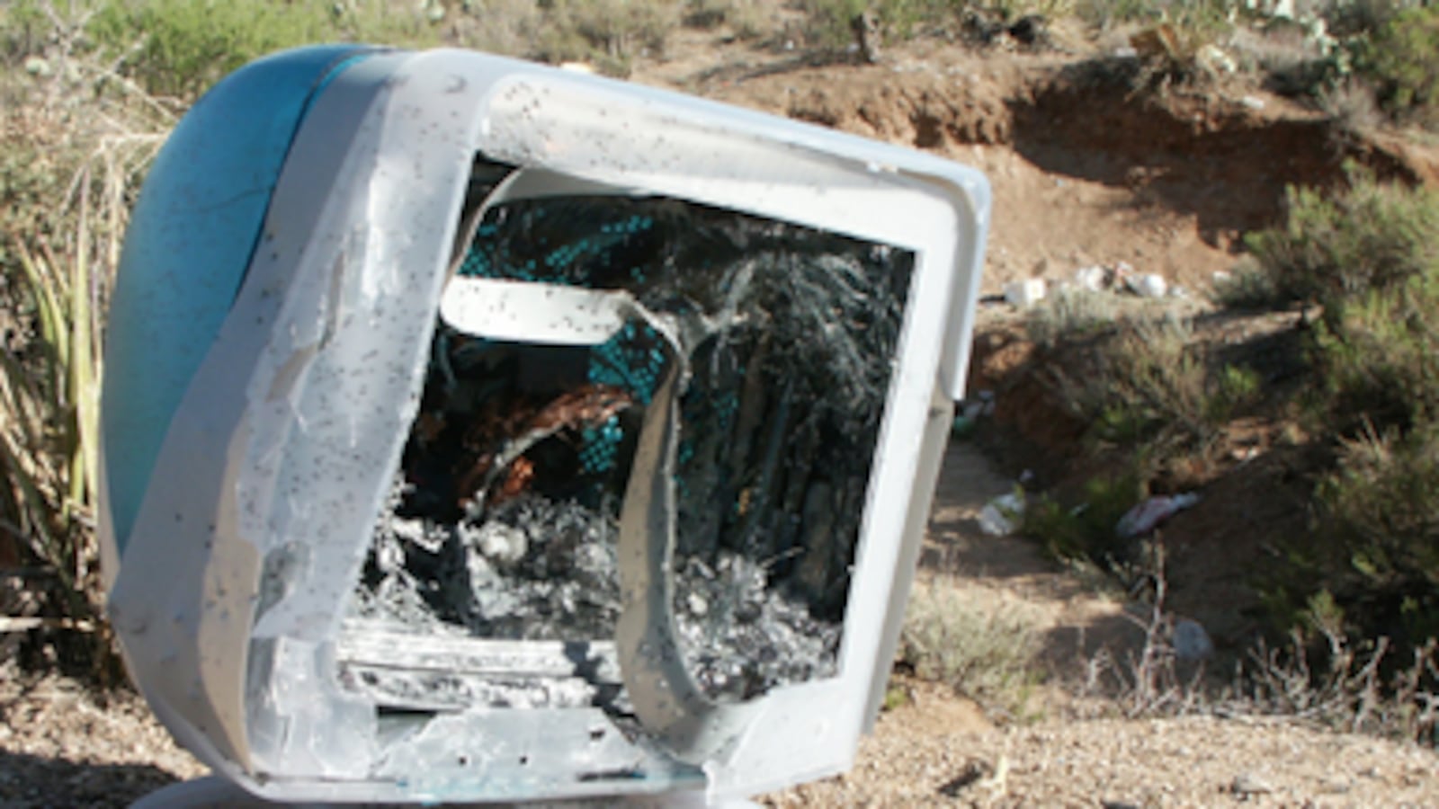 articles/2010/12/17/facebooks-56-billion-valuation-and-more-signs-of-the-tech-apocalypse/lyons-tech_148015_vsruej