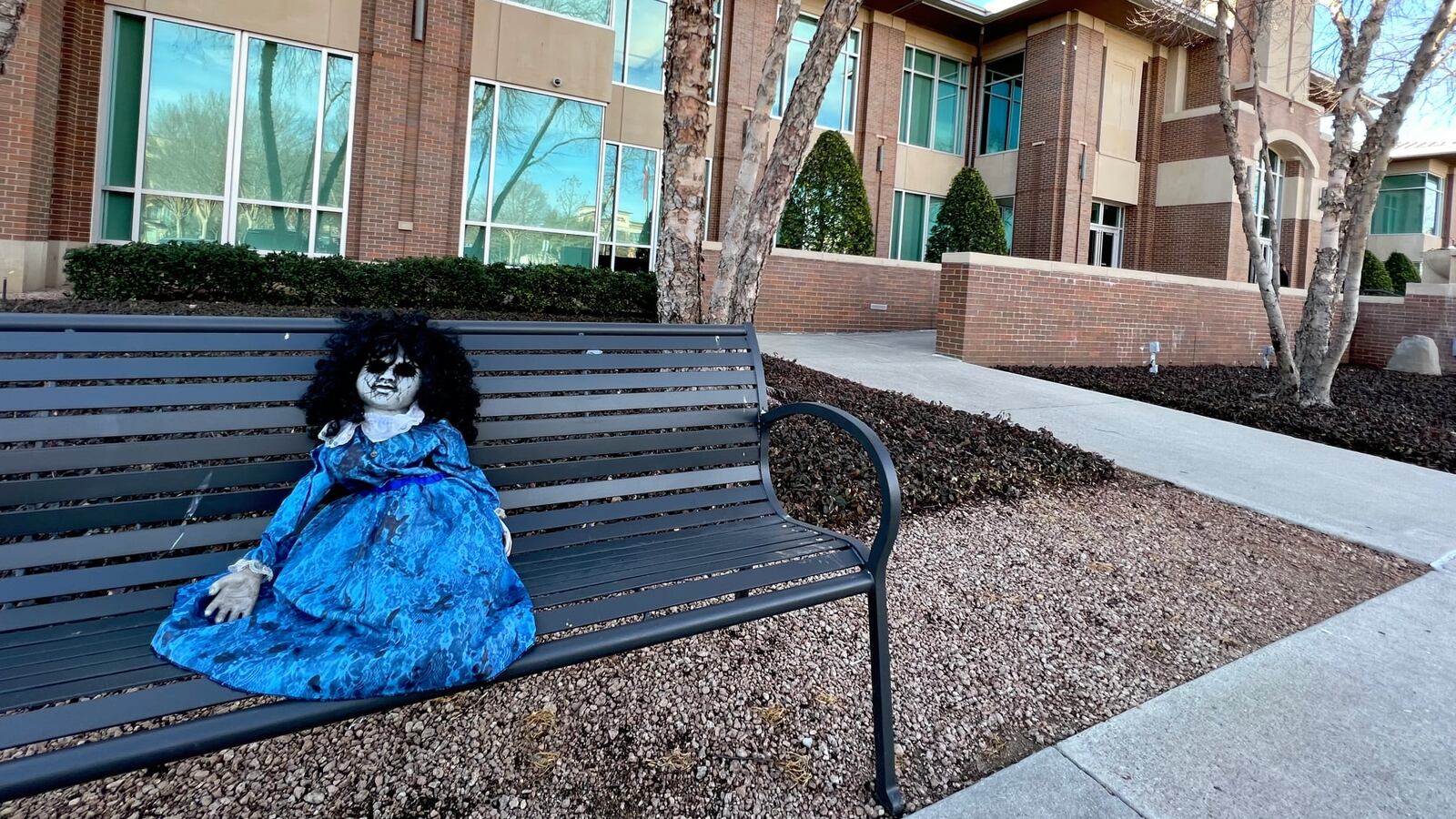 273637388_251550043823839_7845062102764979618_n_xyhjos