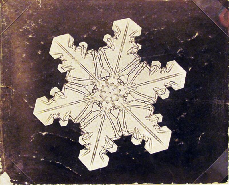 galleries/2010/01/26/the-art-of-the-snowflake/snow-crystals---4_wkoqsv