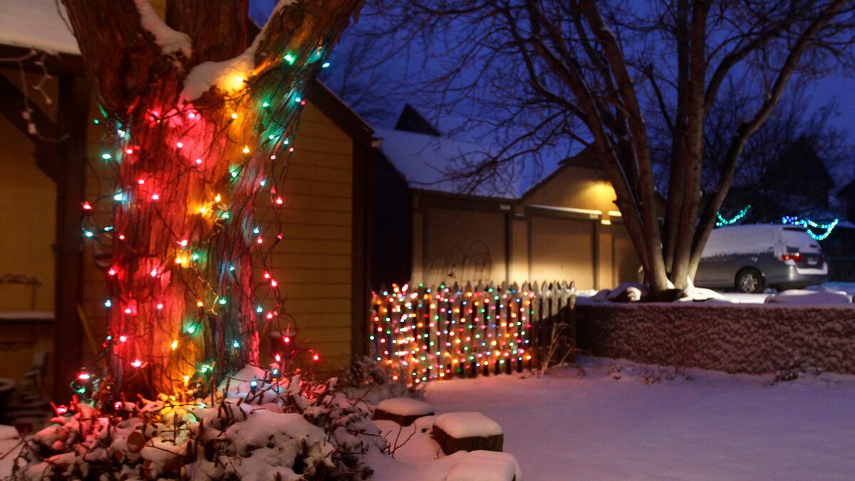 cheats/2012/12/20/blizzard-whacks-the-midwest/us-blizzard-midwest-cheat_wlvocs