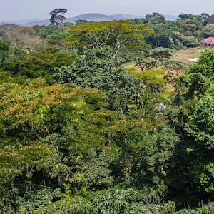 GettyImages-507383656_lxjhwg