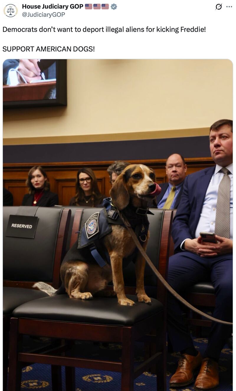 House Judiciary GOP post on X.