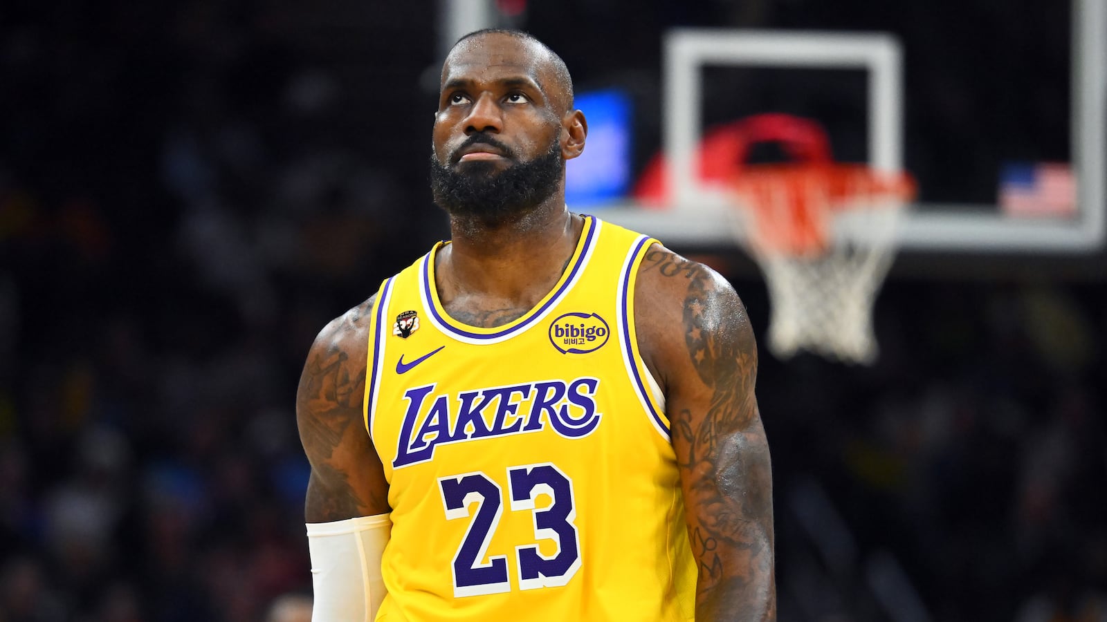 LeBron James on the court.