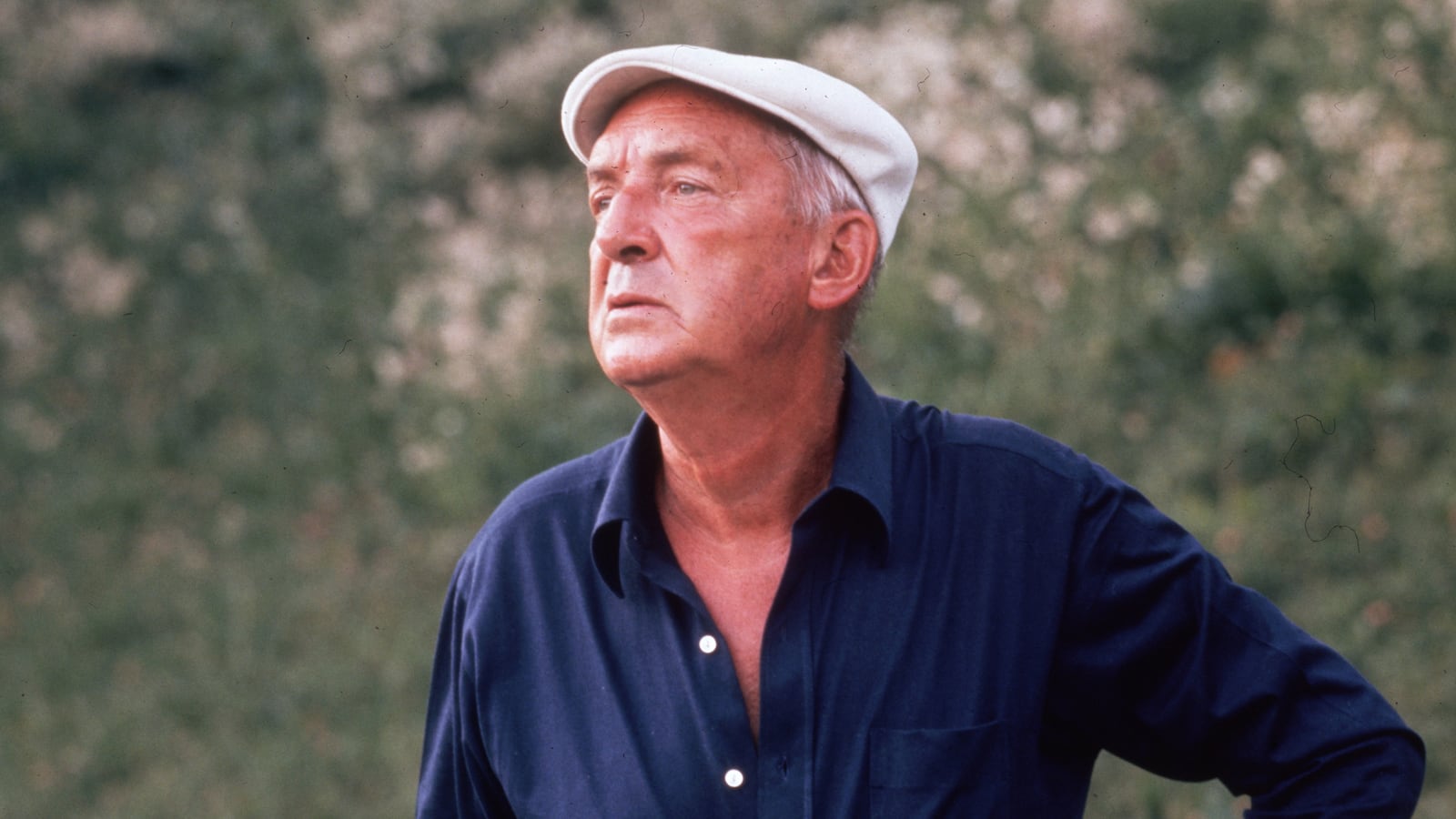 articles/2013/10/13/pale-fire-cold-war/131012-weiss-nabokov-tease-NEW_pq5rcb