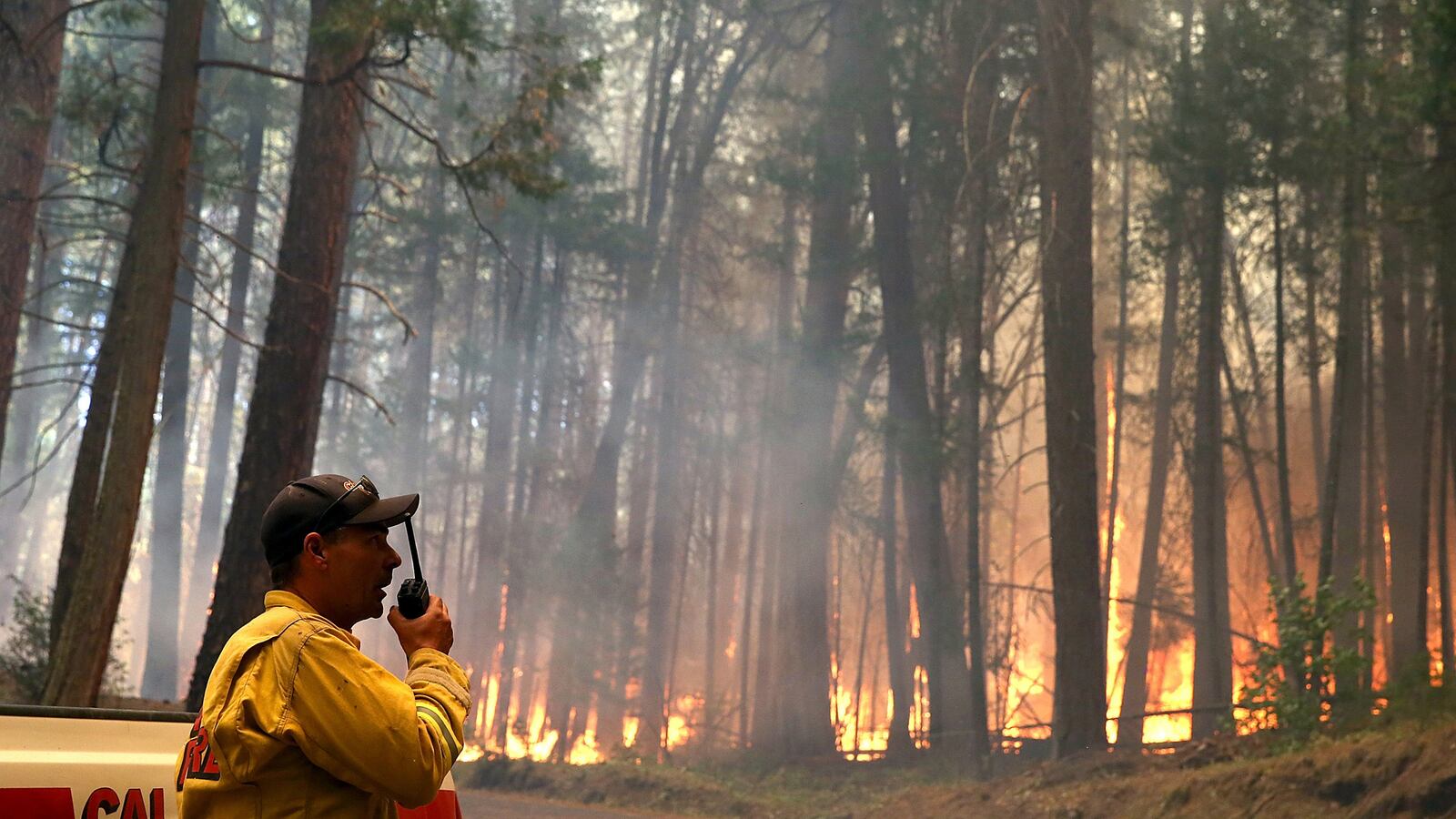 cheats/2013/09/05/hunter-caused-california-wildfire/130905-rim-fire-cheat_zxkvp4