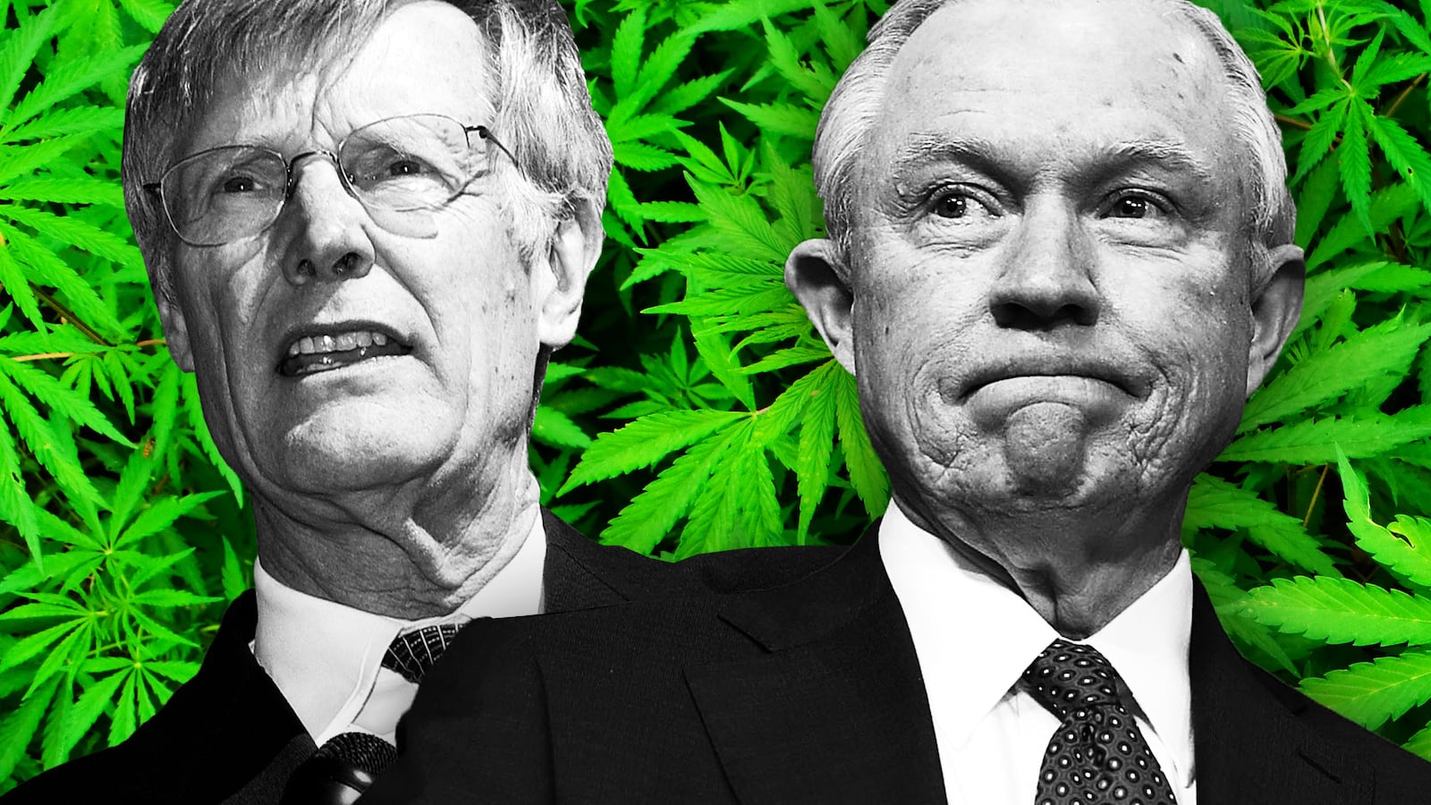 180102-sessions-weed-tease_itiqp6