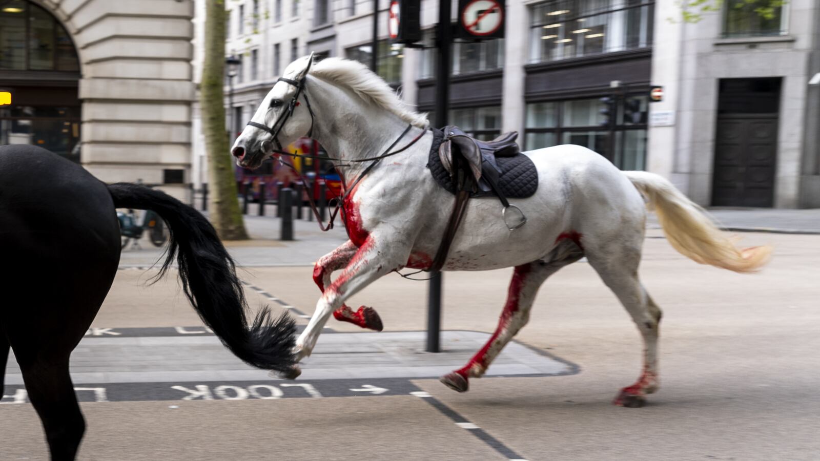 ‘Vida’ bolts through the streets of London