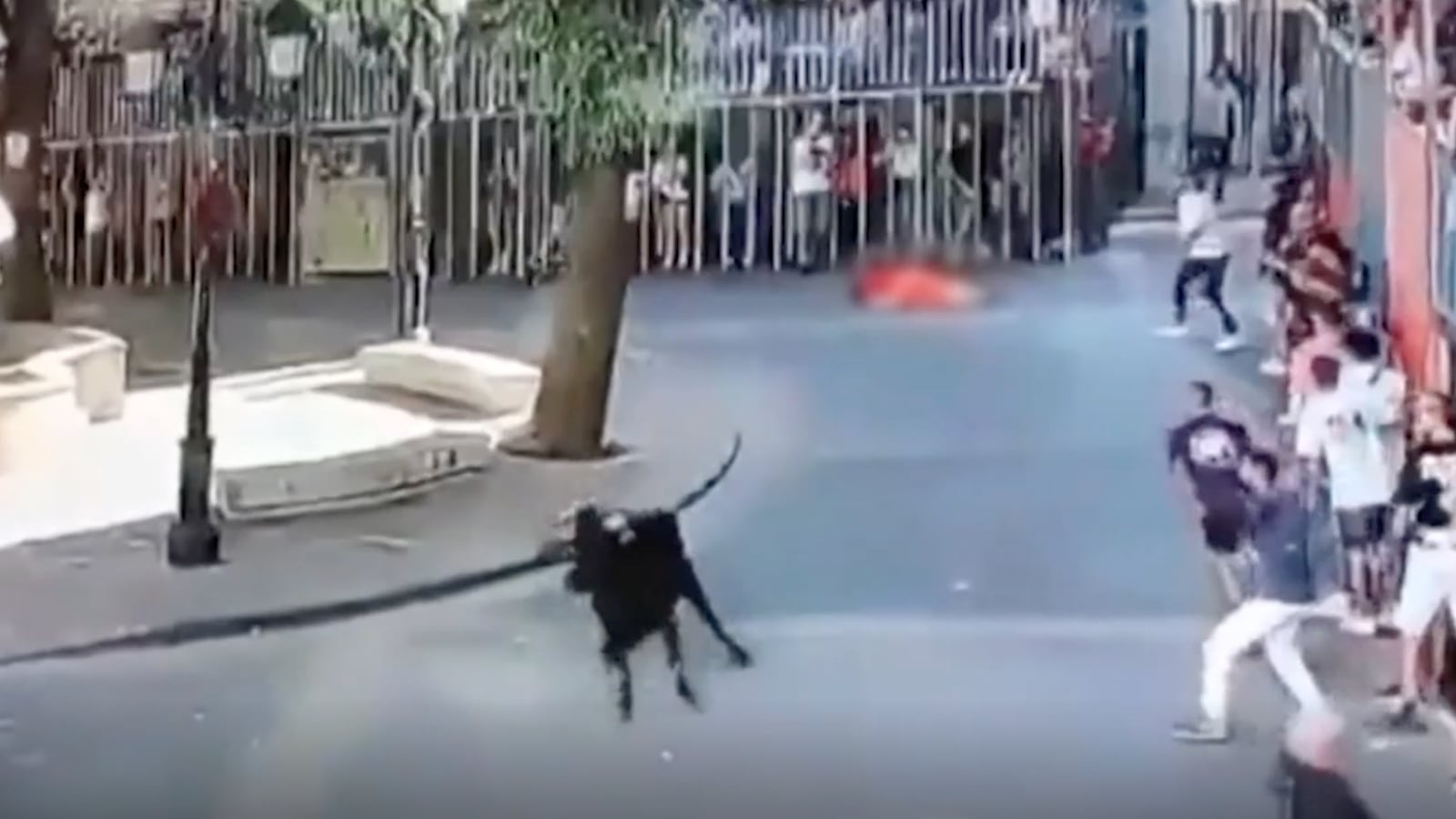 A 60-year-old woman was gored to death by a bull during a festival in Spain