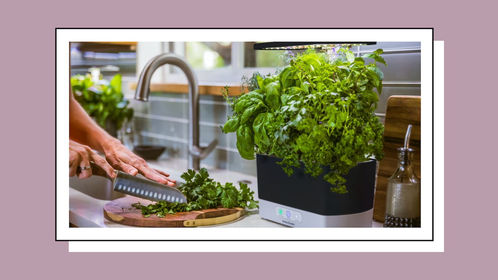 AeroGarden-Fathers-Day_psotln