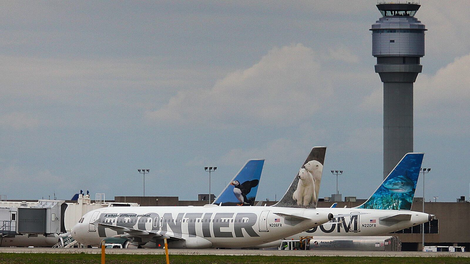 GettyImages-457277012_kz1zhd