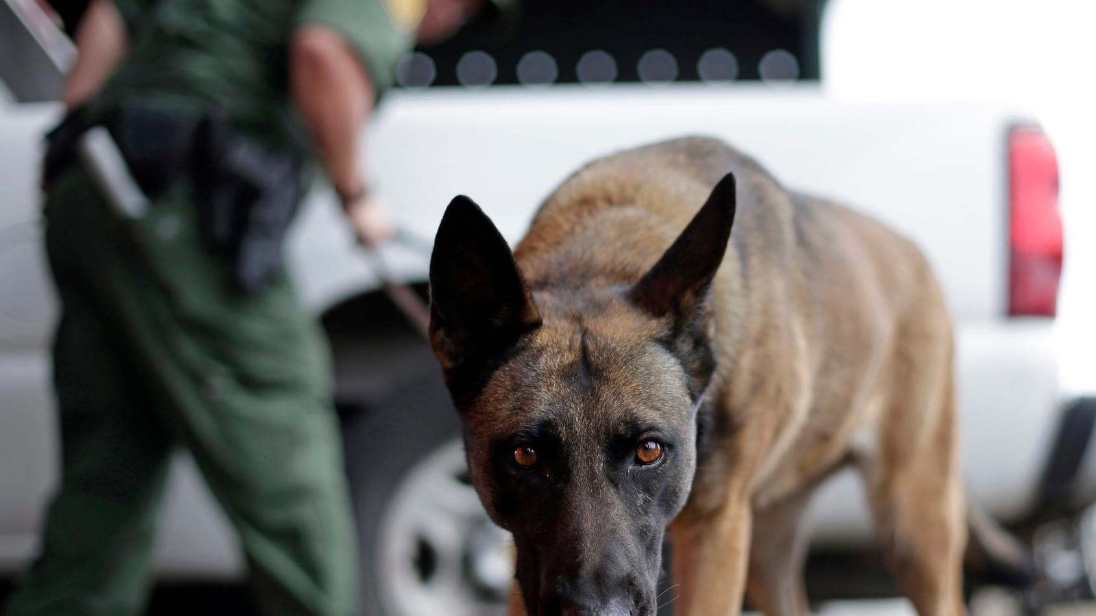 articles/2014/12/10/drug-smuggler-sues-u-s-over-dog-bite/141208-dickson-k9-tease_v4eq6f