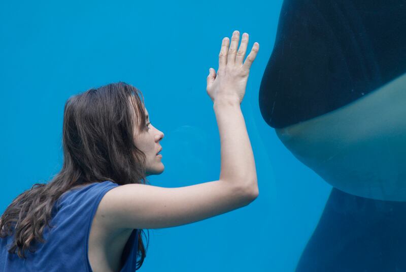 galleries/2012/11/21/lincoln-skyfall-twilight-other-thanksgiving-movies-to-see-or-skip-photos/20see1_juuys1