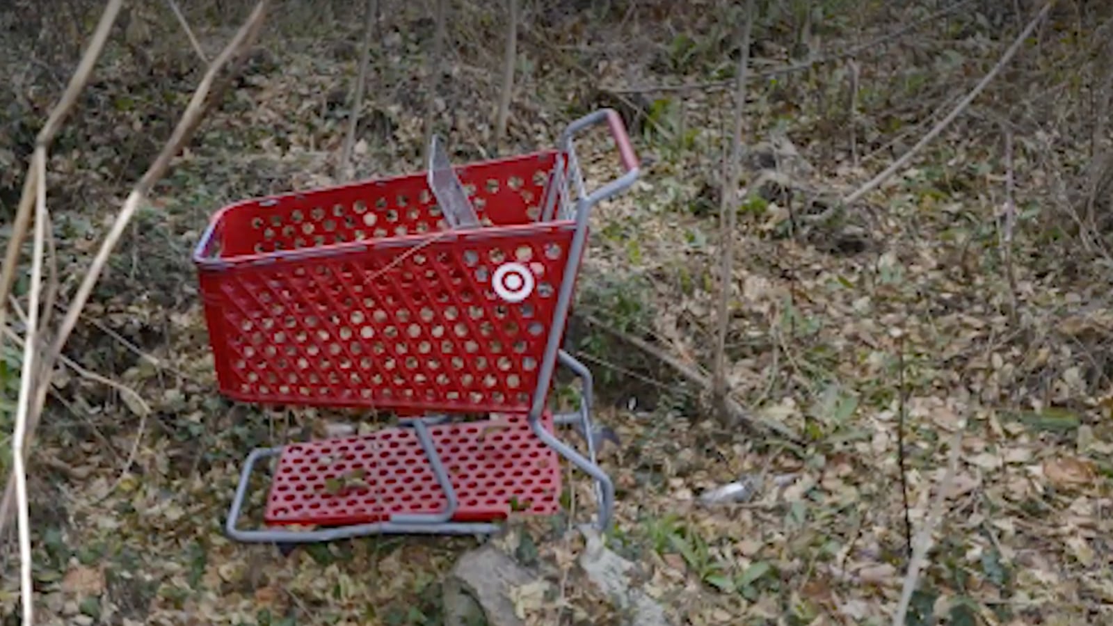 Screen_Shot_2021-12-17_at_4.36.23_PM_zznbpp