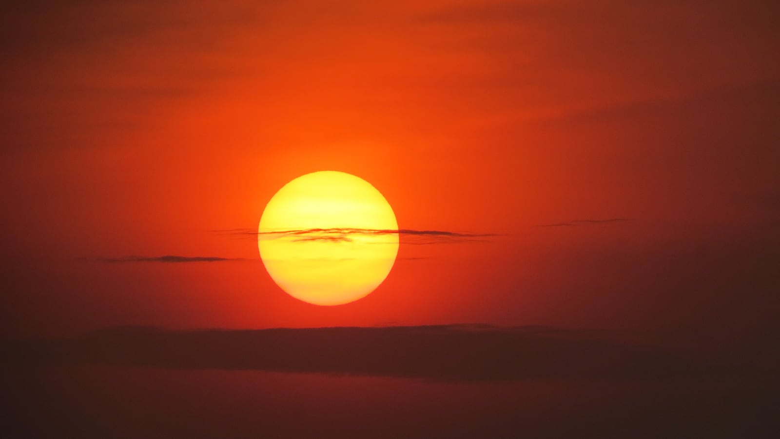 melissa-van-niekerk-x4NfG61O4B4-unsplash_jpegu0