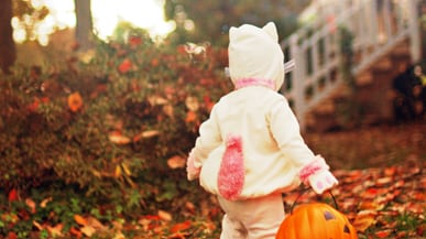 articles/2010/10/28/best-cities-for-halloween/florida-trick-or-treat-cities_136892_iyjk7r