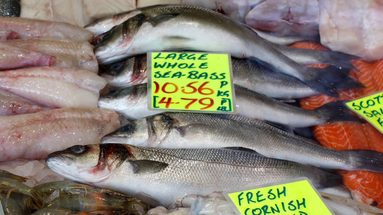 cheats/2013/09/19/europe-gobbling-up-sea-bass-population/130919-seabass-cheat_d1keyl