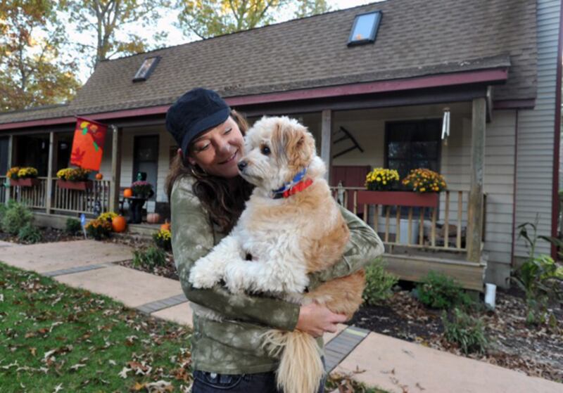 galleries/2010/12/13/heroic-animals/heroic-animals---bandit_bhtrgu