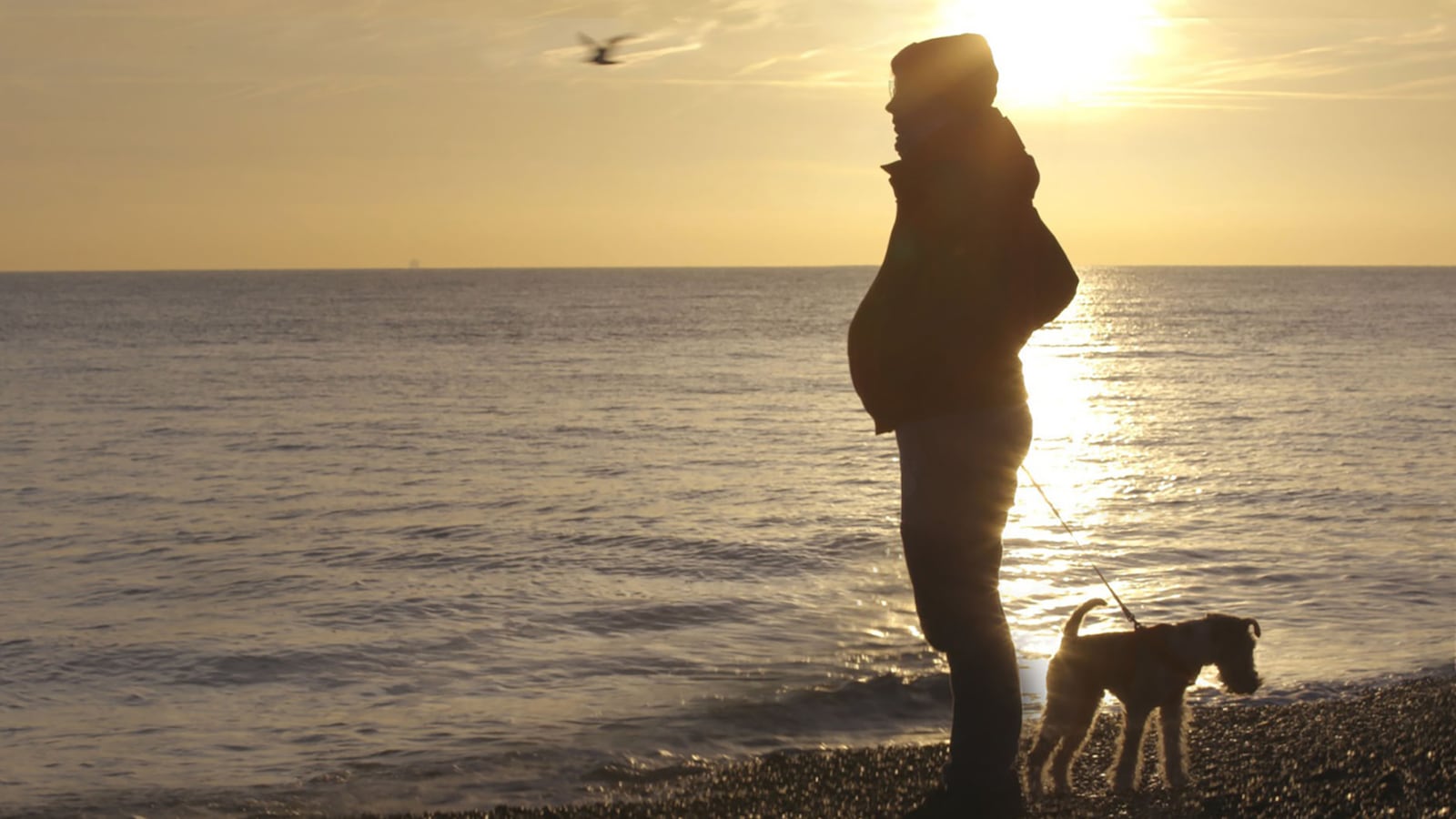 190423-fallon-seahorse-tease_lfsije