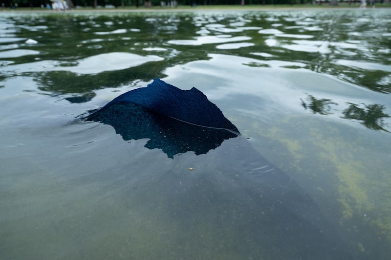 Paint peels from the bottom of the Lincoln Memorial Reflecting Pool after recent renovations following a directive from U.S. President Donald Trump to paint it blue ahead of the 250th anniversary of U.S. Independence, in Washington, D.C., U.S., June 18, 2026. REUTERS/Annabelle Gordon     TPX IMAGES OF THE DAY