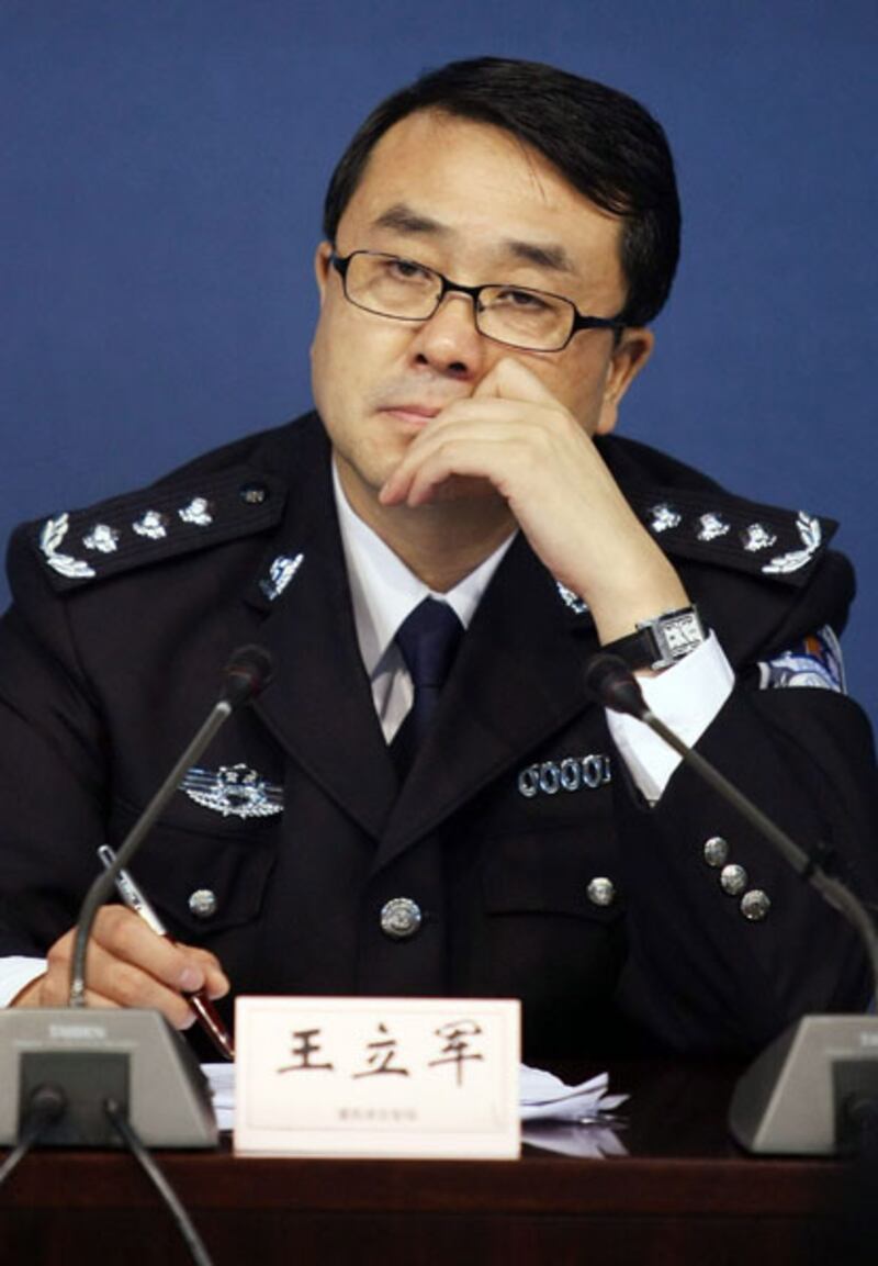 galleries/2012/04/18/a-who-s-who-guide-in-the-gu-kailai-china-political-thriller-photos/madame-gu-lijun_qxzvyr