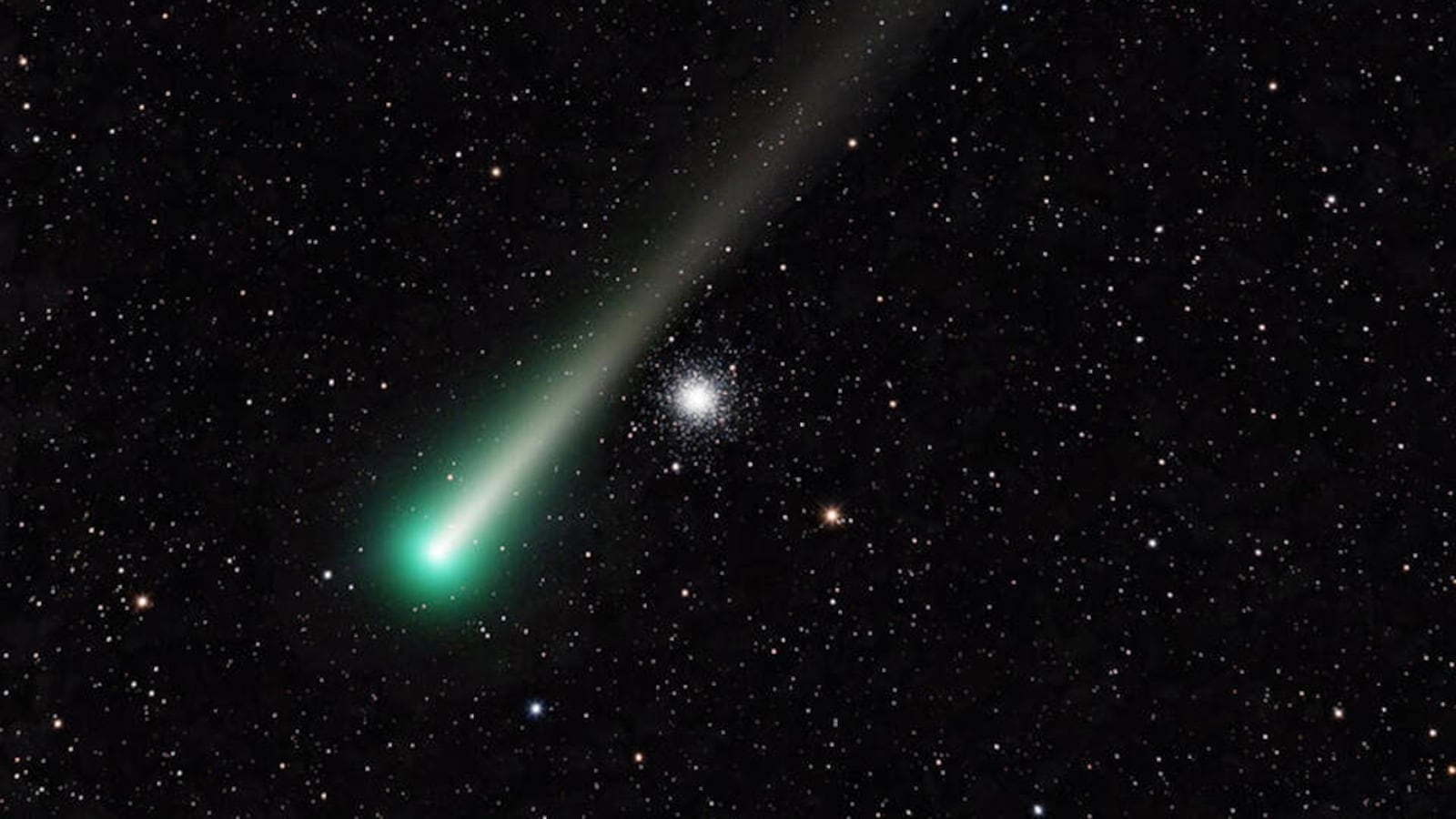 c-leonard-dec02_1_wzgxta