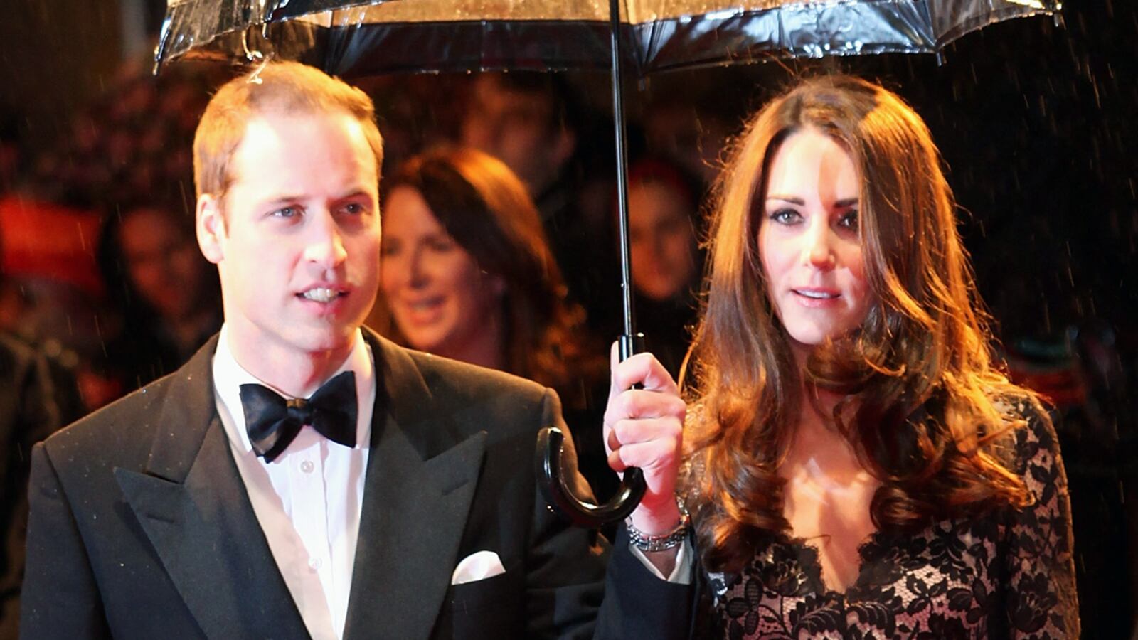 cheats/2012/01/31/william-and-kate-get-a-puppy/will-kate-royals-puppy-cs_yzxeu2