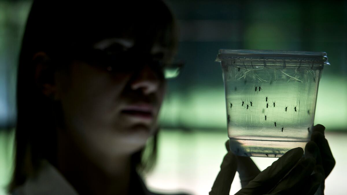 cheats/2016/01/26/first-american-tests-positive-for-zika-virus/160125-zika-cheat_whopqx