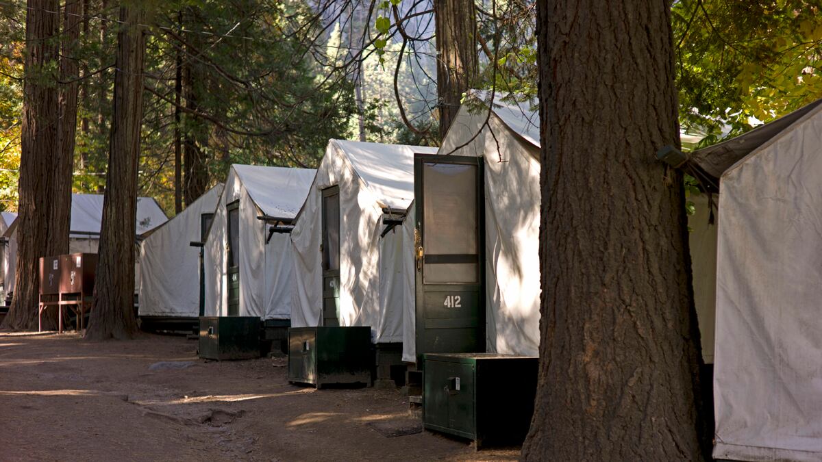 articles/2012/09/03/yosemite-hanta-virus-nature-strikes-back/yosemite-virus-sepkowitz_qiojvb