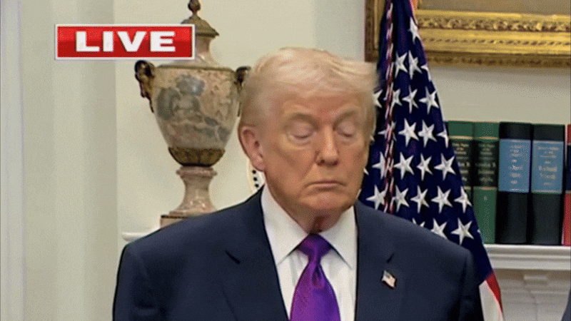 Donald Trump falls asleep during a press conference.