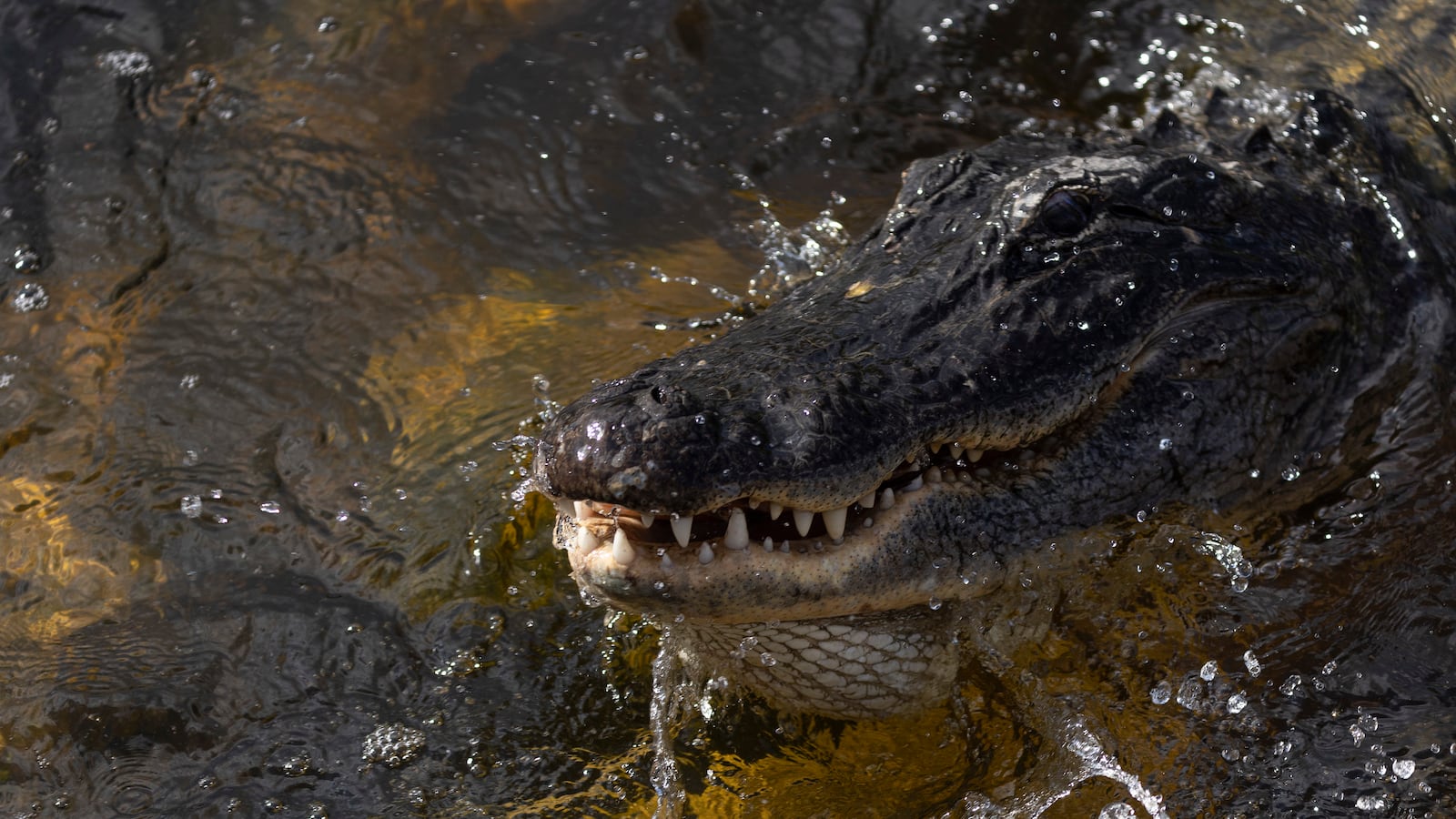 GettyImages-1395434975_be5igr