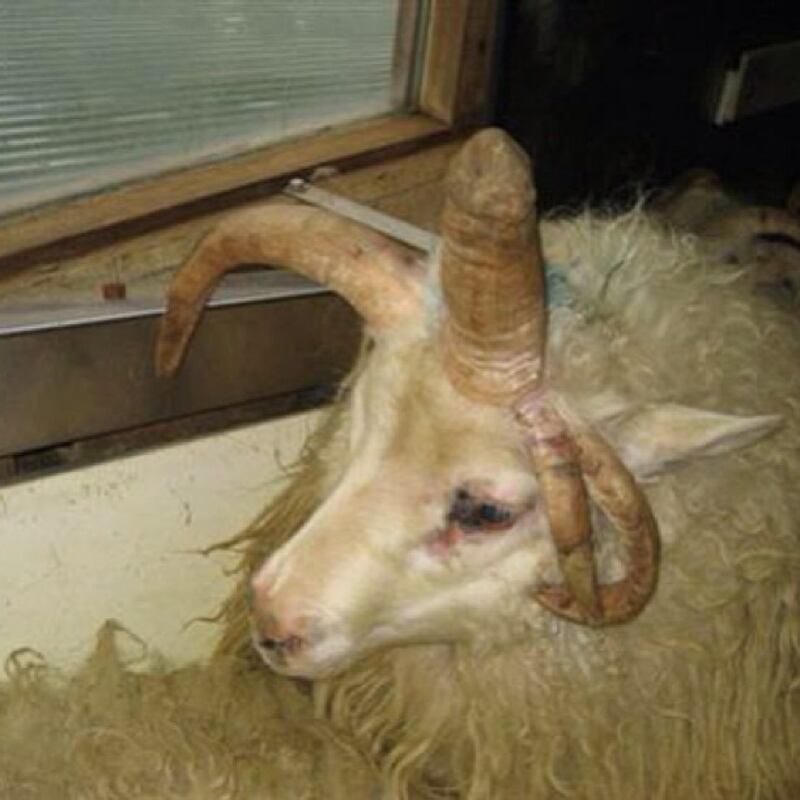 galleries/2013/07/26/that-looks-like-a-dick-instagram-account-penis-pics-everywhere/that-looks-like-a_dick-instagram-7_ibsqbs