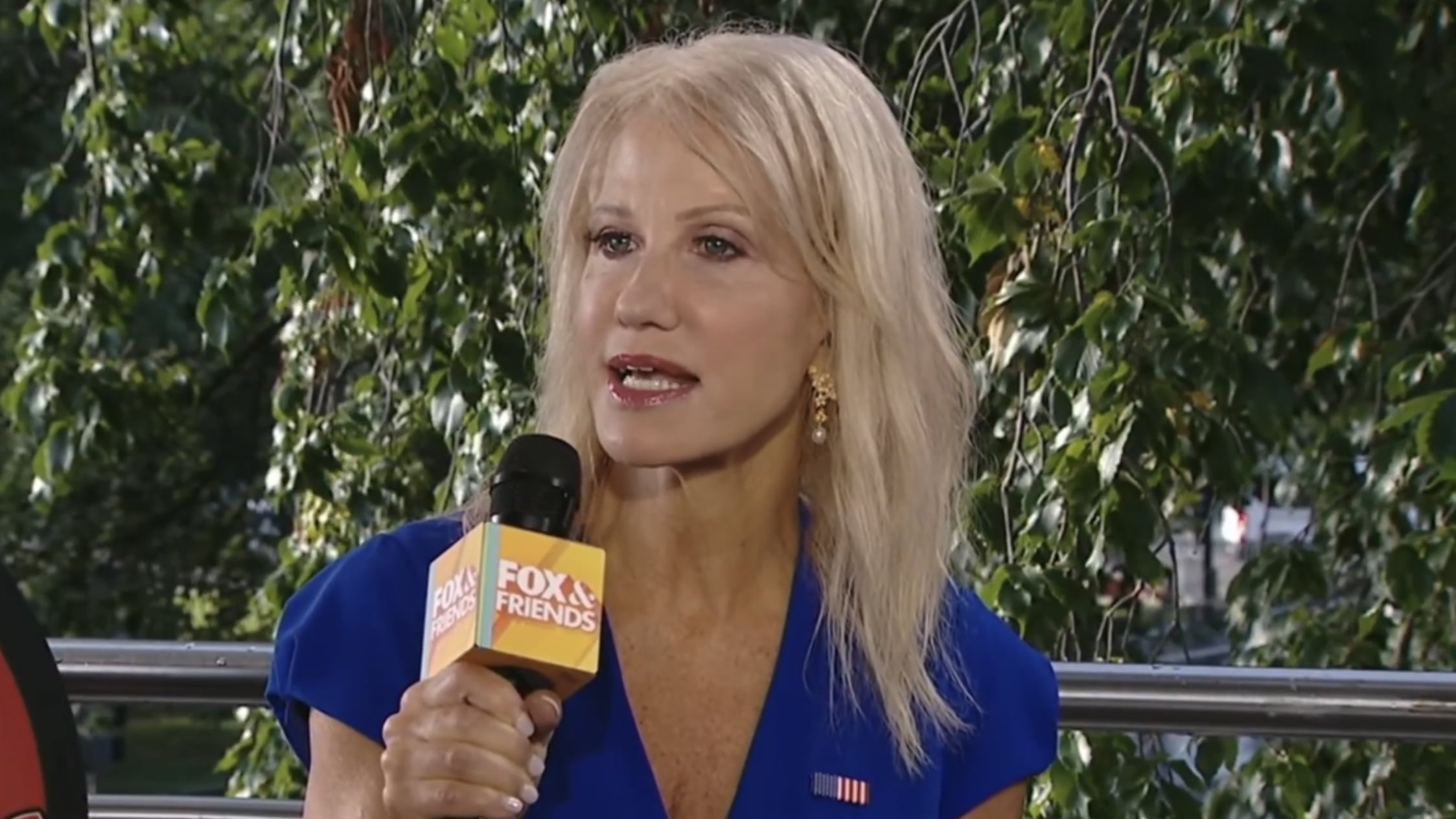 Kellyanne Conway Blames Voters for Bleak GOP Midterm Outlook