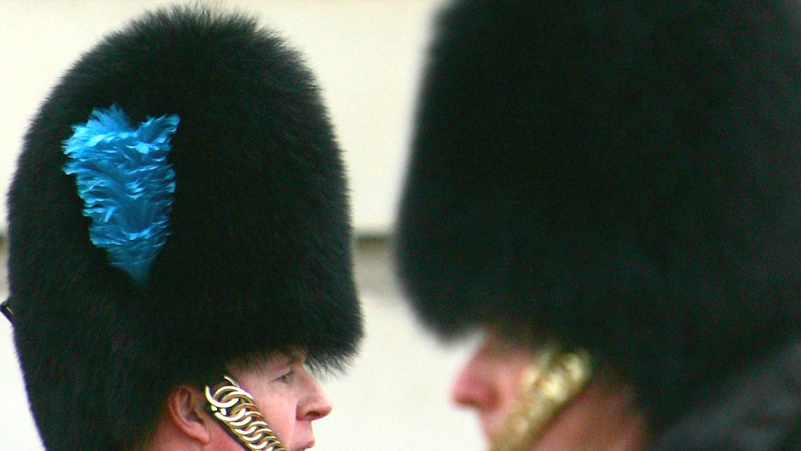 articles/2014/09/03/hunt-to-identify-pirouetting-bearskin-guardsman-who-shamed-army/bearskin_pl20pi