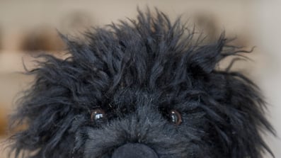 cheats/2009/06/05/bo-toy-hits-germany/obama-toy-dog_v0mxbj