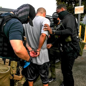 Immigration and Customs Enforcement agents apprehend an an illegal immigrant