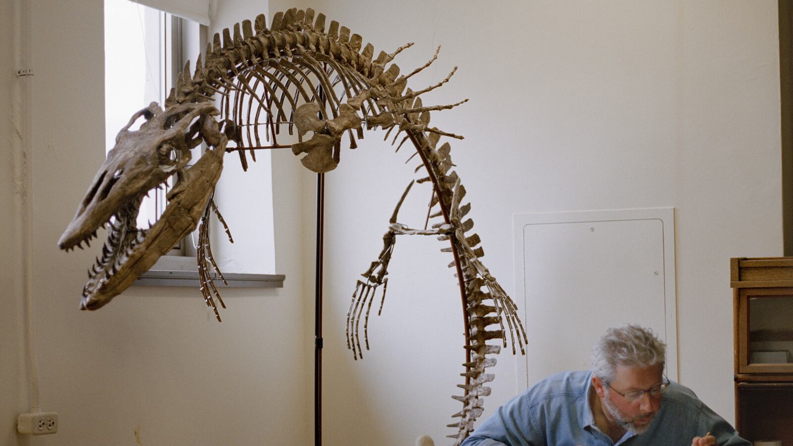 articles/2014/04/09/pbs-vs-creationists-a-fight-over-our-fishy-ancestors/140408-bixby-inner-fish_fw6sbm