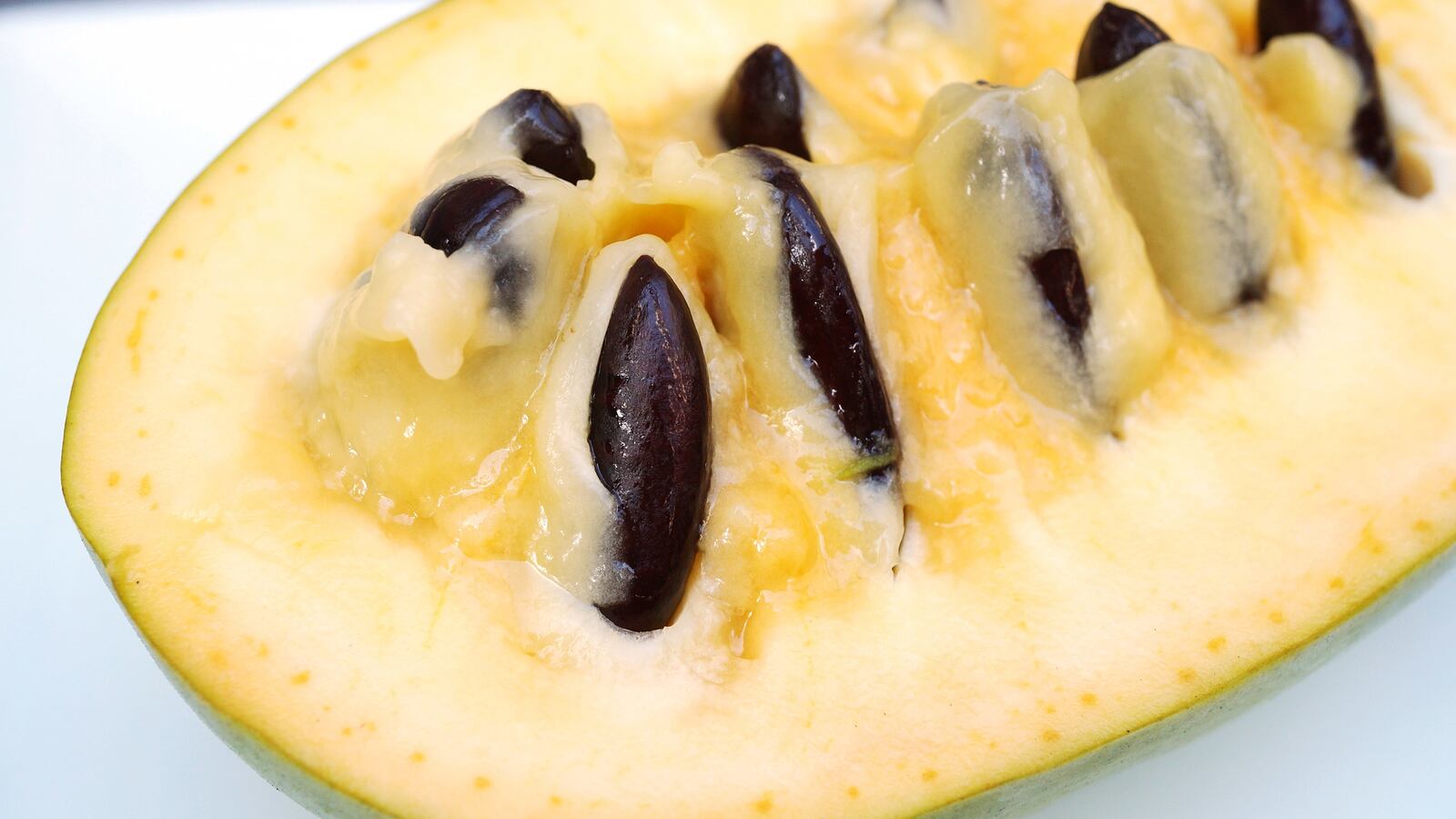 170928-pawpaw-tease2_cpsep8