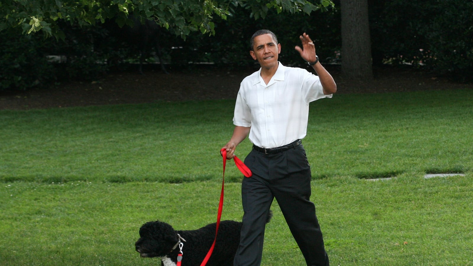 articles/2013/08/25/fringe-factor-obama-hates-white-people-and-white-dogs/130824-fringe-dickson-tease_cjqpmc