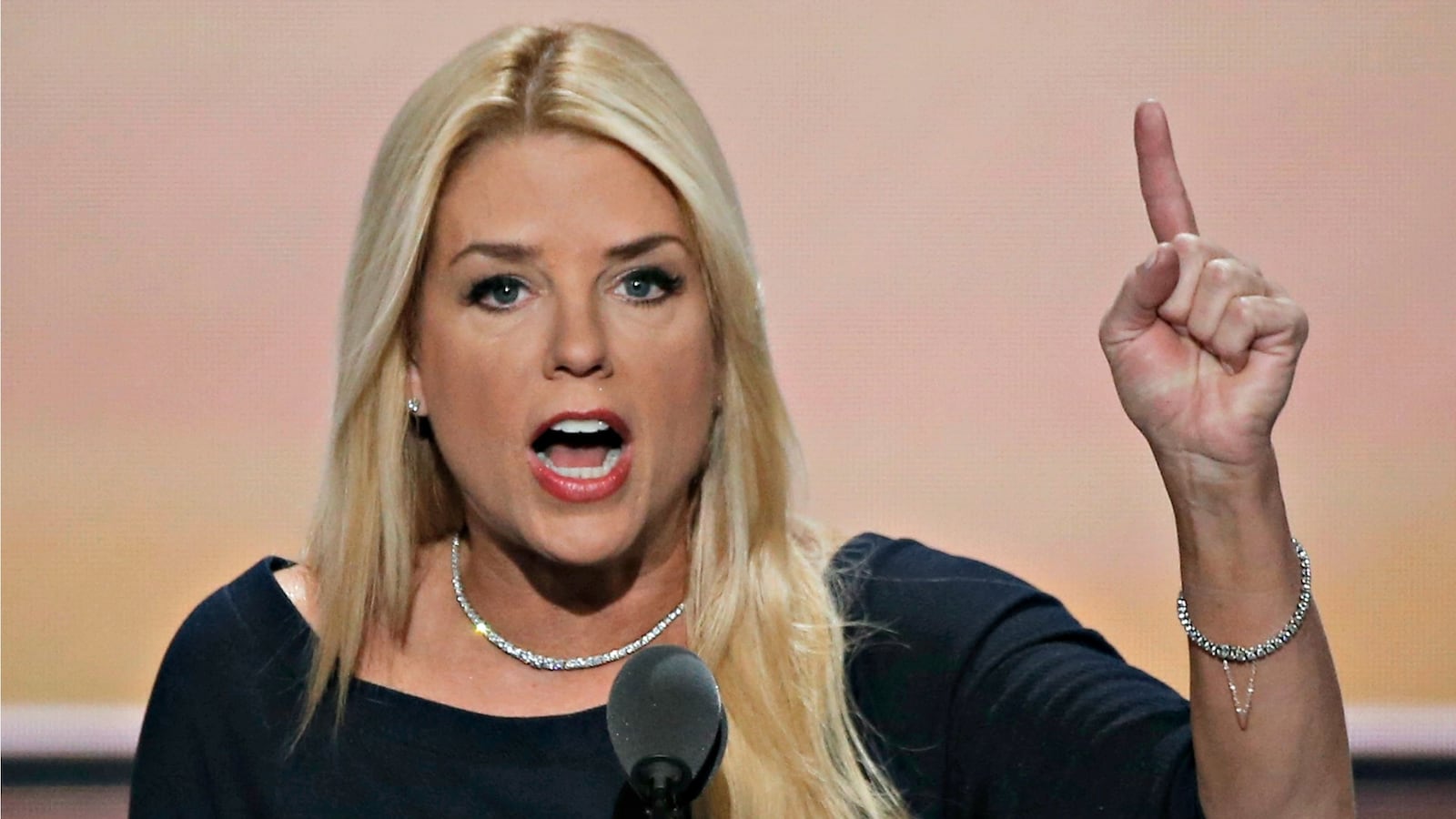 cheats/2016/09/14/liberal-watchdog-crew-sues-for-bondi-schedule/160914-pam-bondi-cheat_gntnvo