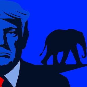 Donald Trump illustration
