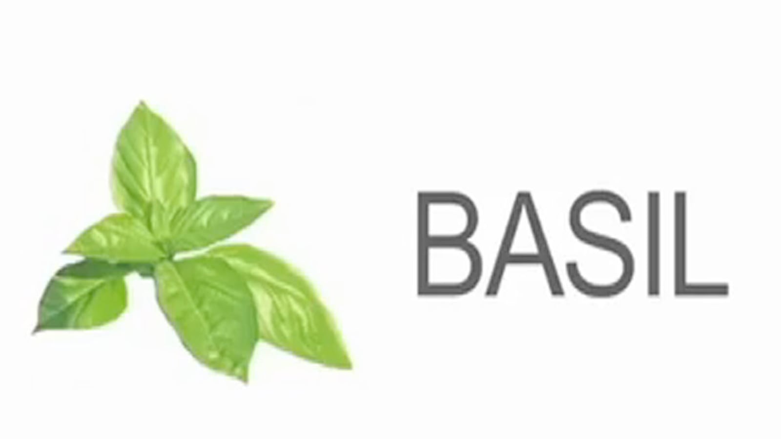 videos/2011/09/08/spices-of-life-basil/110908-youtube-spices-basil-1200_rbinug