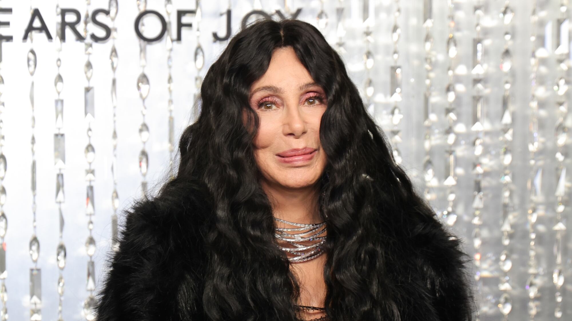 Cher at the Swarovski Masters of Light Opening Celebration on October 28, 2025, in Los Angeles.