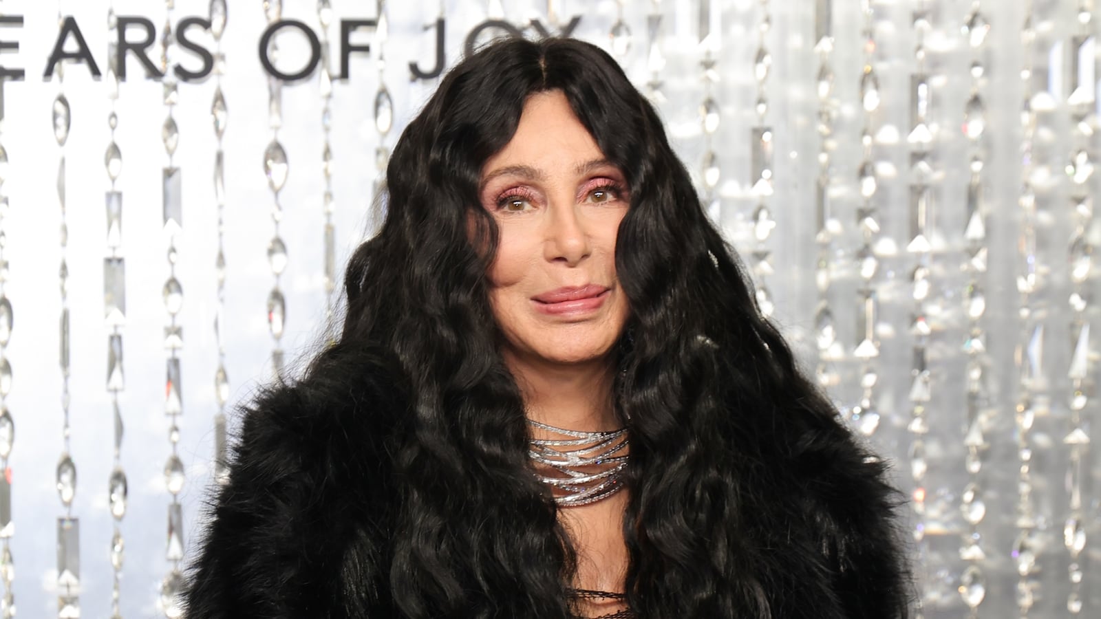 Cher at the Swarovski Masters of Light Opening Celebration on October 28, 2025, in Los Angeles.