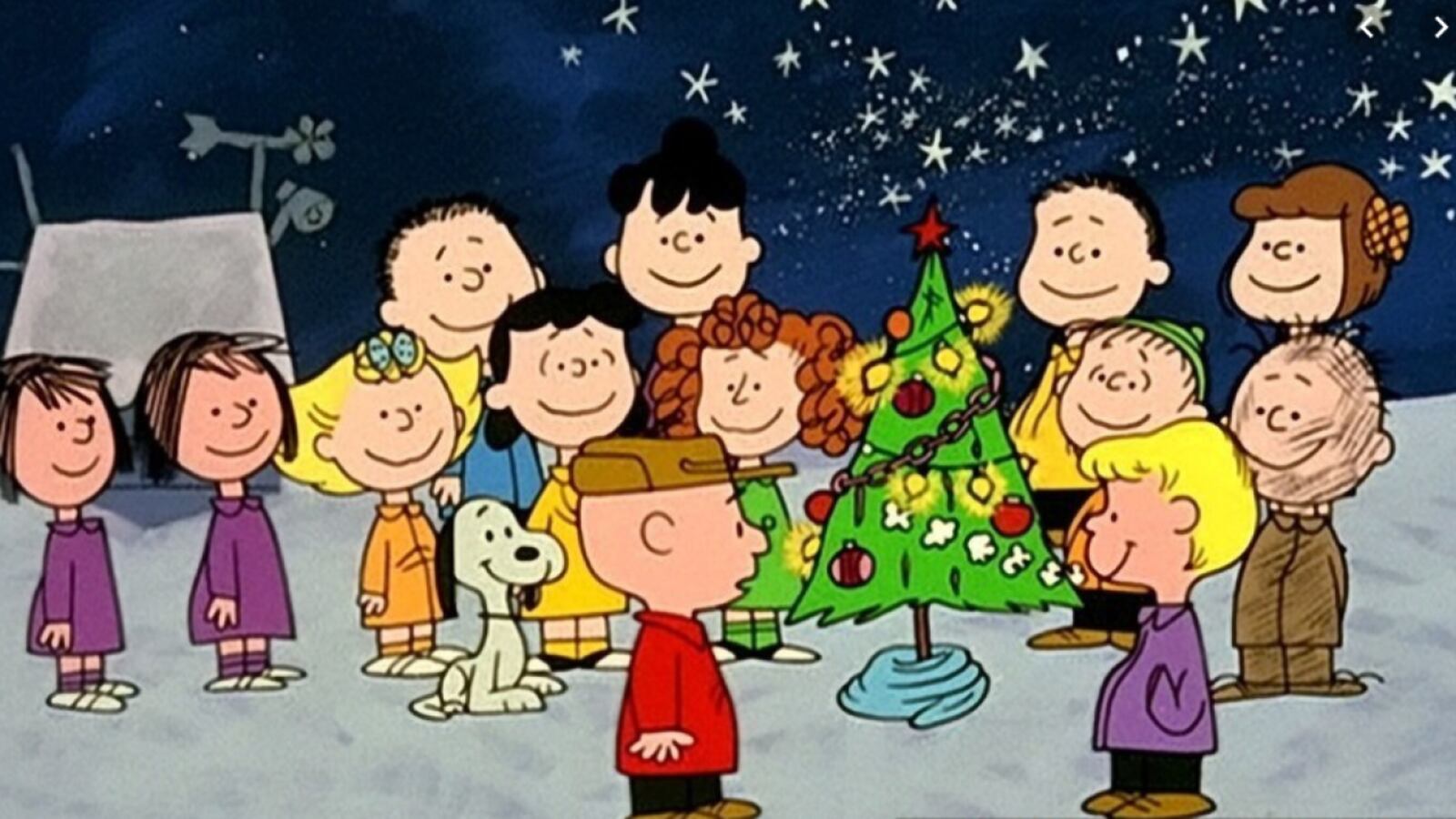 charlie-brown-christmas-tree_bohunt