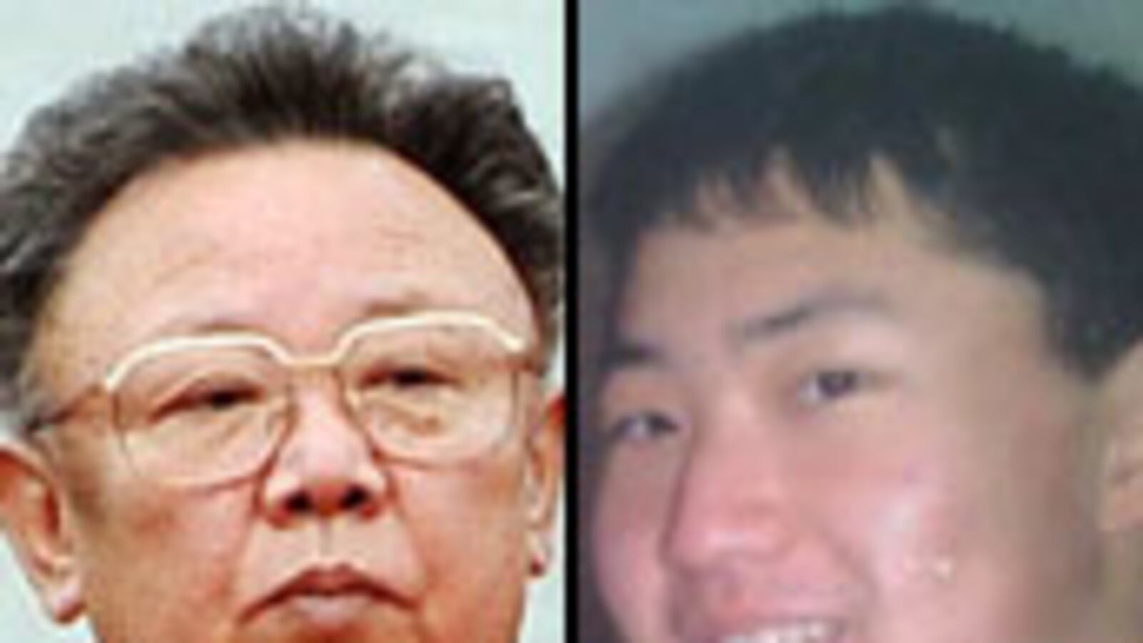 articles/2010/07/23/north-korea-kim-jong-un-may-succeed-kim-jong-il-within-weeks/shenon-korea-jong_115354_cwo2iu