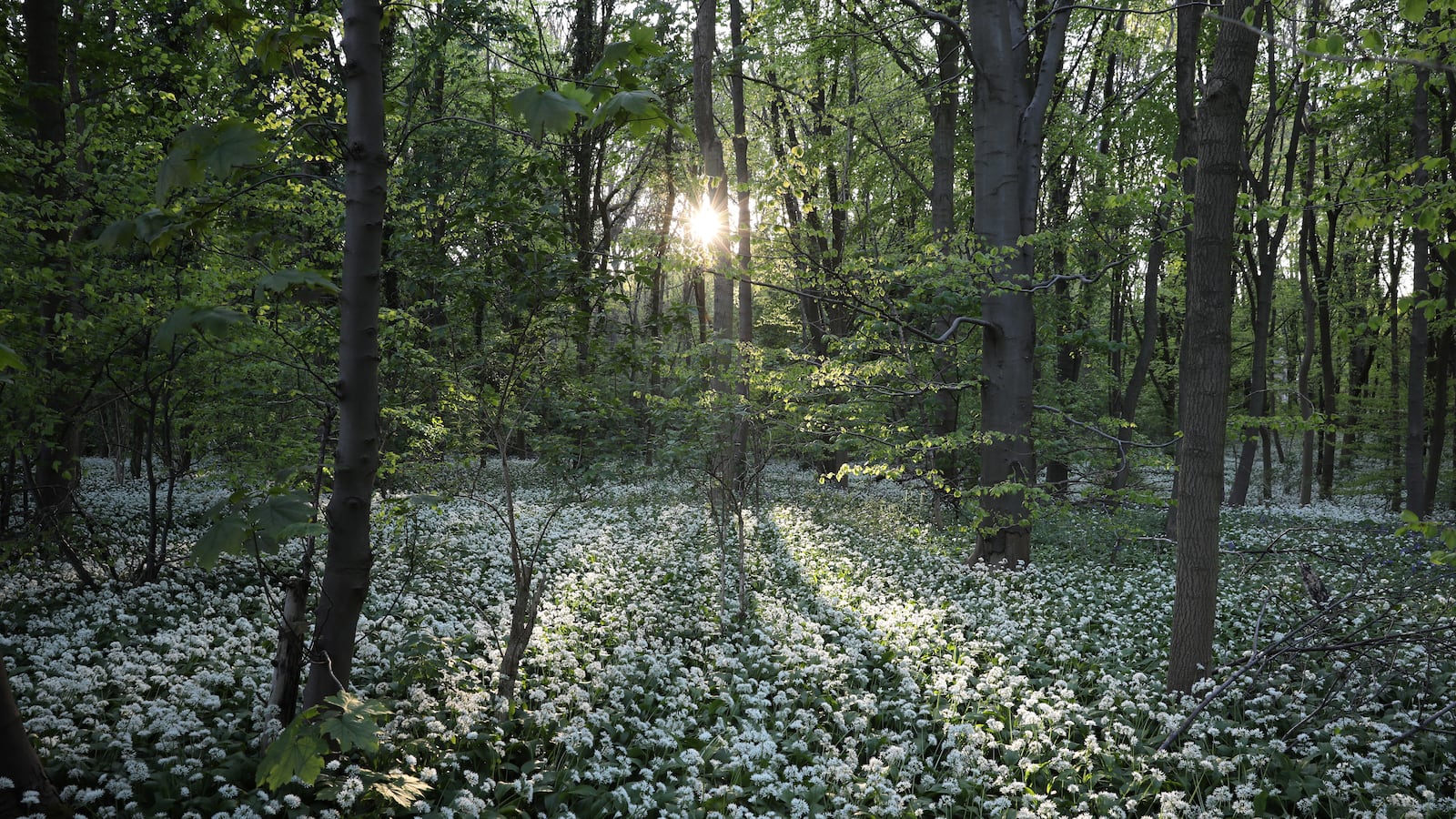 GettyImages-682191636_aokgls