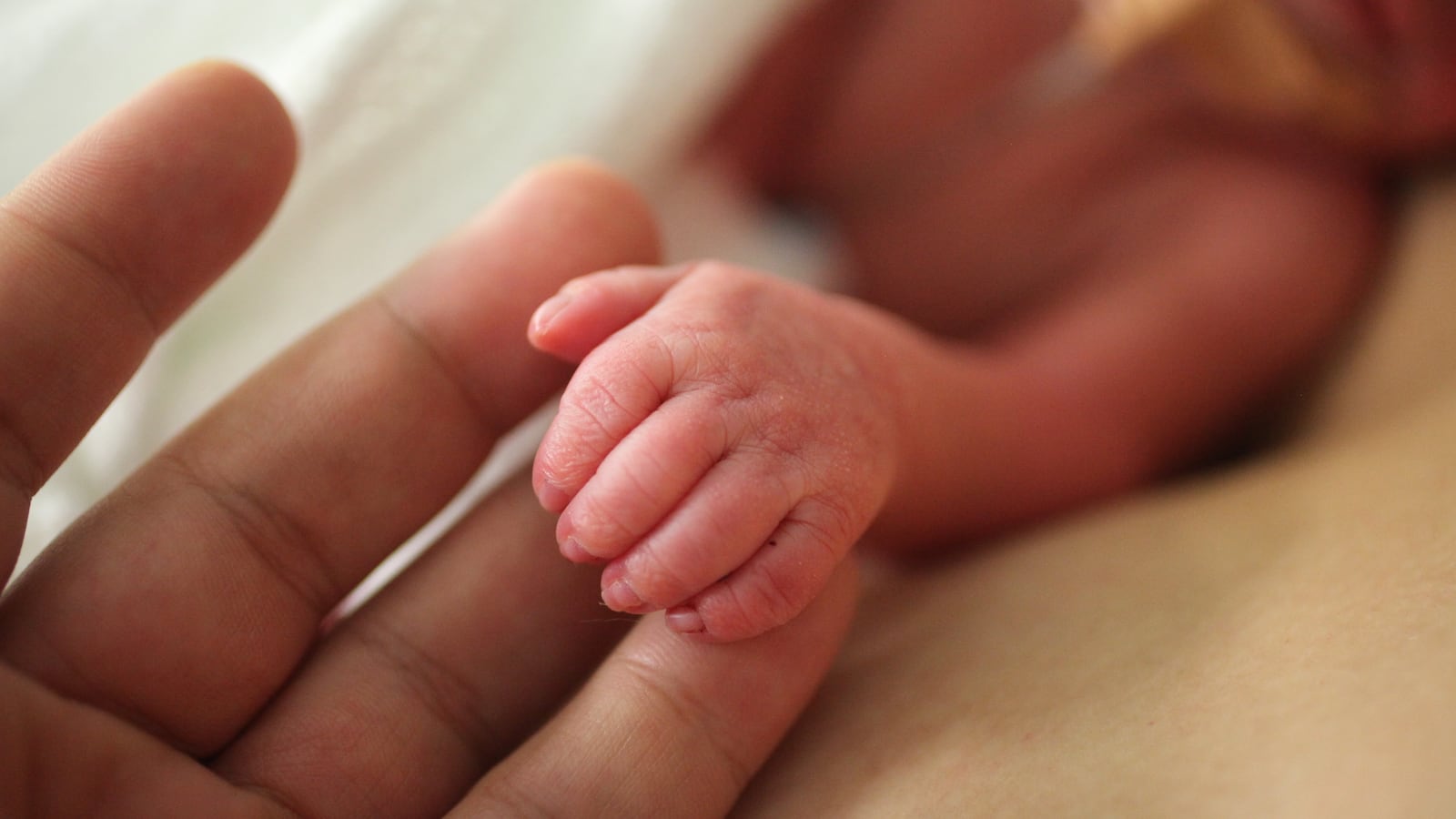 Premature newborn hand in the Neonatal Intesive Care Unit at Royal Prince Alfred Hospital