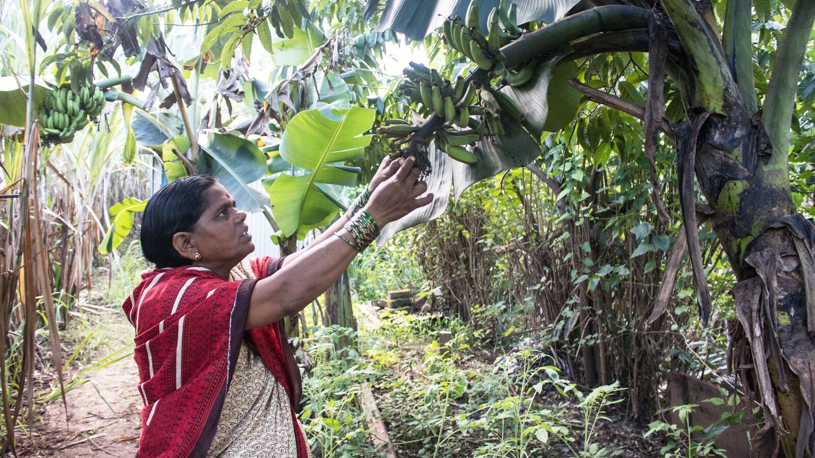 211026-Jain-Floods-in-India-tease_otx5eq