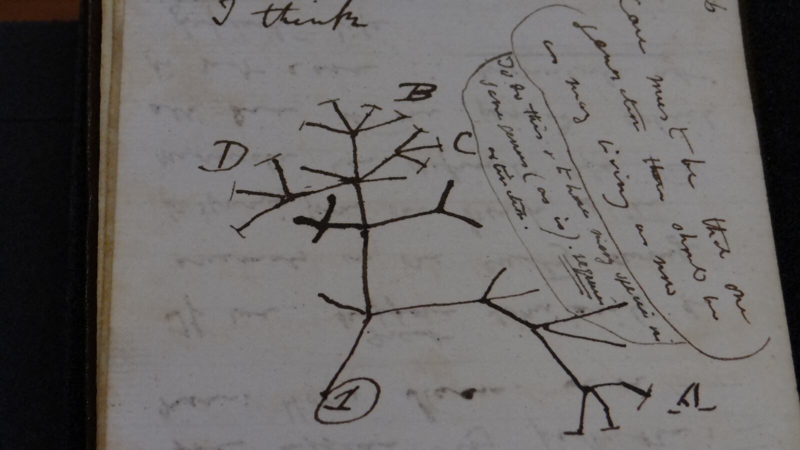 2022-04-05T105611Z_1719348639_RC2E3T97JUTM_RTRMADP_3_BRITAIN-NOTEBOOKS-DARWIN_onabqj